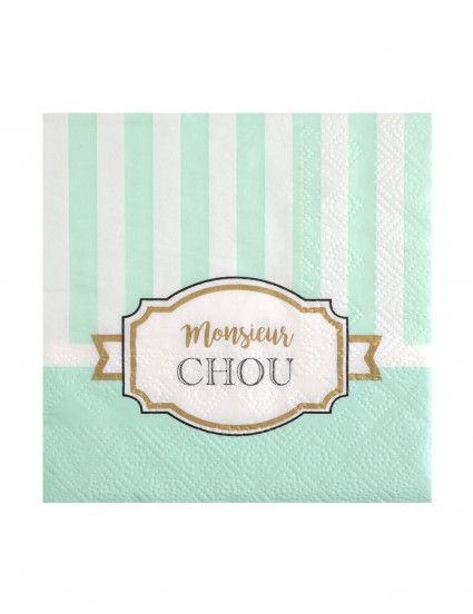 20 Petites serviettes en papier Baby shower menthe 25 x 25 cm 20 Petites serviettes en papier Baby shower menthe 25 x 25 cm