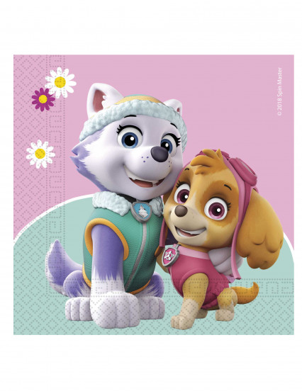20 Serviettes en papier Pat' Patrouille Skye & Everest™ 33 x 33 cm 20 Serviettes en papier Pat' Patrouille Skye & Everest™ 33 x 33 cm