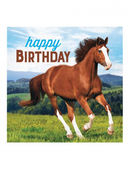 16 Serviettes en papier Happy Birthday Jolis chevaux 33 x 33 cm 16 Serviettes en papier Happy Birthday Jolis chevaux 33 x 33 cm