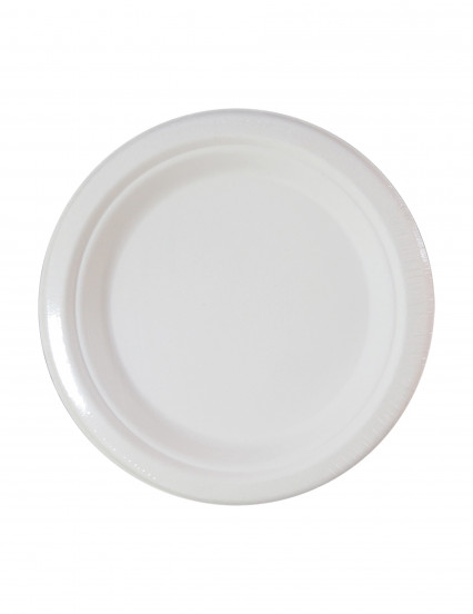 10 Petites assiettes en fibre de canne blanches 18 cm 10 Petites assiettes en fibre de canne blanches 18 cm