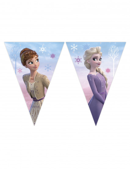 Guirlande fanions en papier Frozen Wind Spirit™ 2,3 m Guirlande fanions en papier Frozen Wind Spirit™ 2,3 m