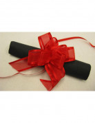 10 Nœuds En Ruban Rouge Pré-noués - 18 Cm, Pour Emballage Cadeau, Mariage, Noël, Anniversaire - Grands Nœuds Décoratifs Faciles à Utiliser